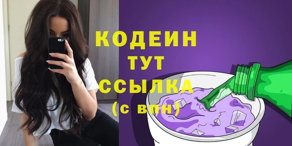 гидра Гусь-Хрустальный