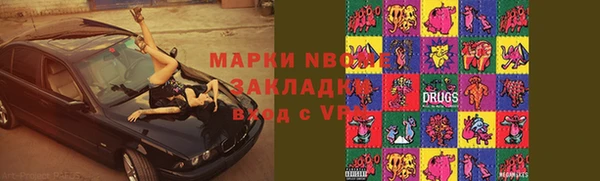 гидра Гусь-Хрустальный