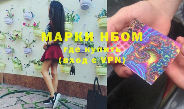 гидра Гусь-Хрустальный