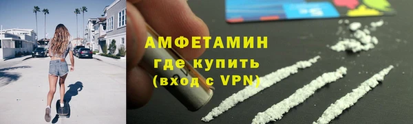 гидра Гусь-Хрустальный