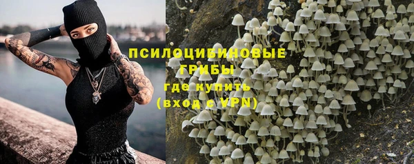 гидра Гусь-Хрустальный