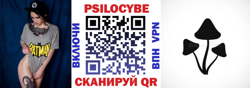 Псилоцибиновые грибы Psilocybe  Купить  Курган 